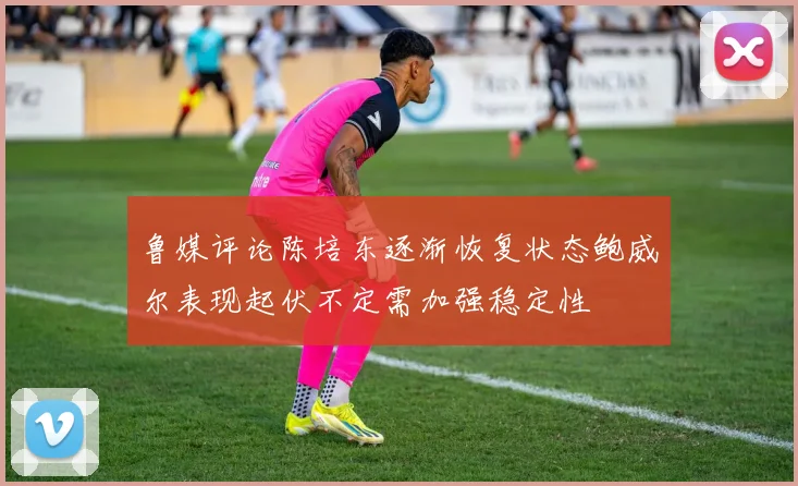 鲁媒评论陈培东逐渐恢复状态鲍威尔表现起伏不定需加强稳定性