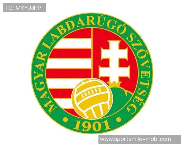 世界杯欧洲区晋级形势明朗法国已定挪威接近葡萄牙需继续争取资格